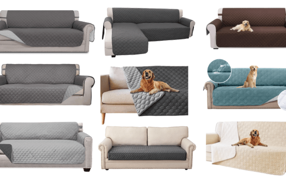 11+ Best sofa covers for dogs that are built to last [2024]