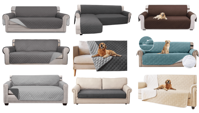 11+ Best sofa covers for dogs that are built to last [2024]