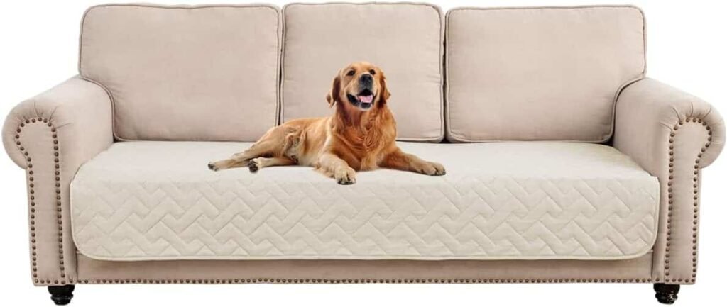 stretch couch covers for dogs