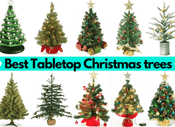 9+ Best Tabletop Christmas trees for a festive touch [2024]