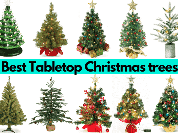 9+ Best Tabletop Christmas trees for a festive touch [2024]