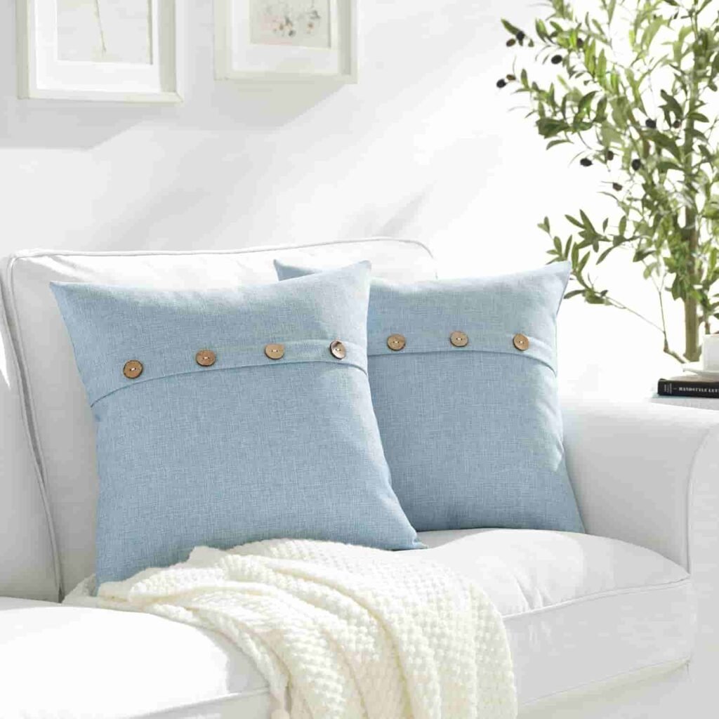 light blue pillow covers