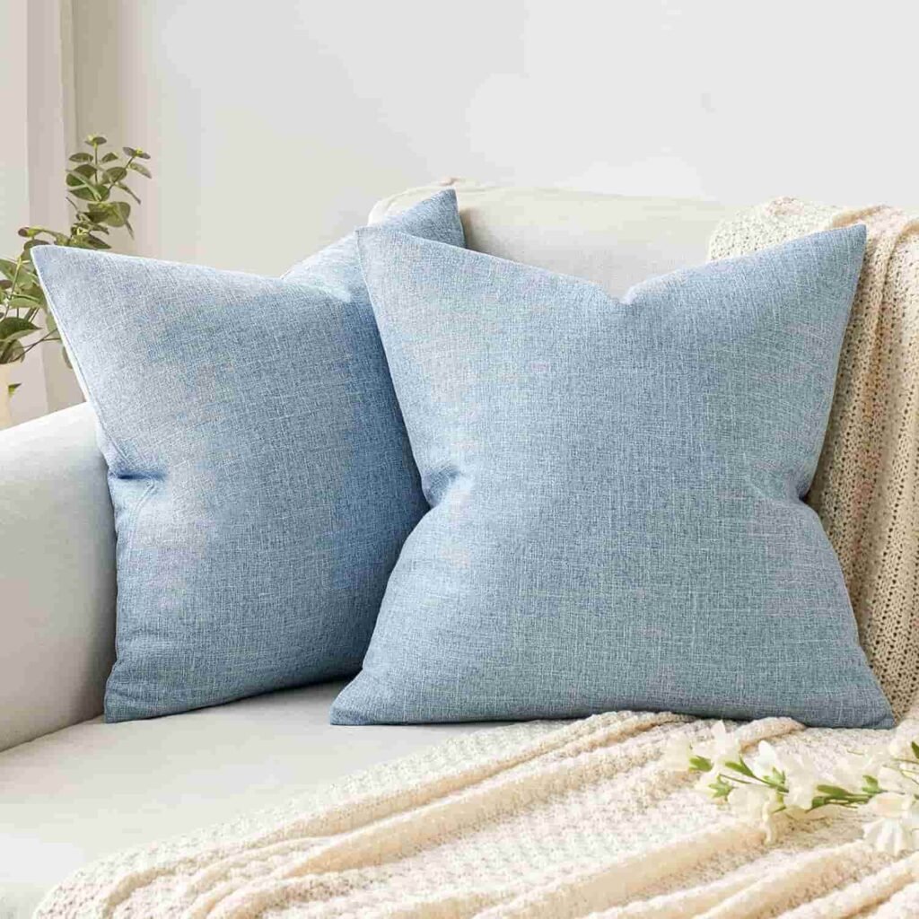 white and blue pillow covers