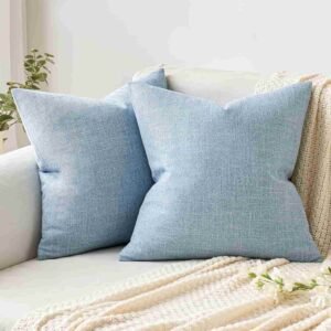 white and blue pillow covers