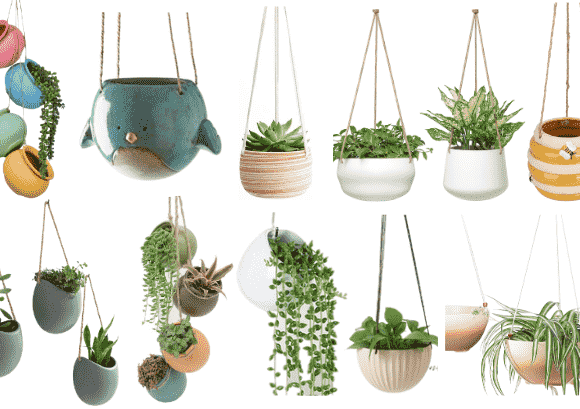 11+ Best Ceramic Hanging Flower Pots for blooming beauties [2024]