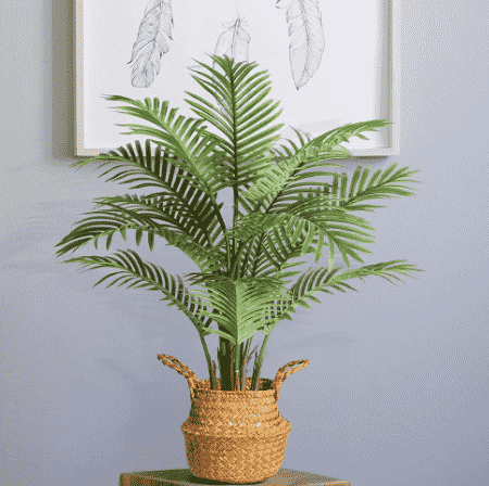 artificial faux plants