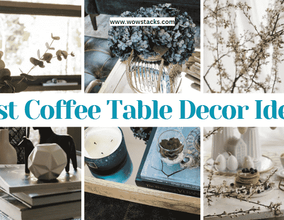 21+ Best coffee table decor ideas for your home [2024]