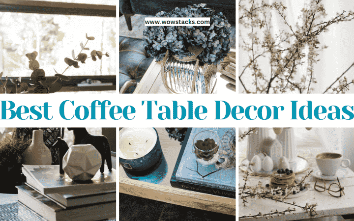 21+ Best coffee table decor ideas for your home [2024]