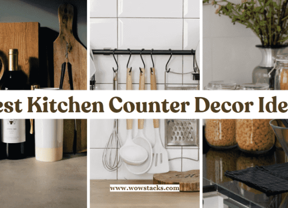 21+ Best kitchen counter decor ideas [2024]