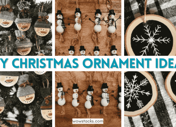 21+ DIY Christmas Ornament Ideas to spruce up your tree